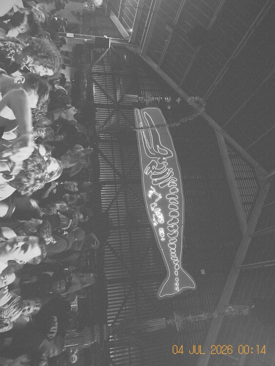 The same neon fish sign in black and white on the Noir stock: high contrast, grainy, with detail retained in the shadows.